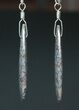 Powder Blue, Agatized Dinosaur Bone (Gembone) Earrings #84748-3
